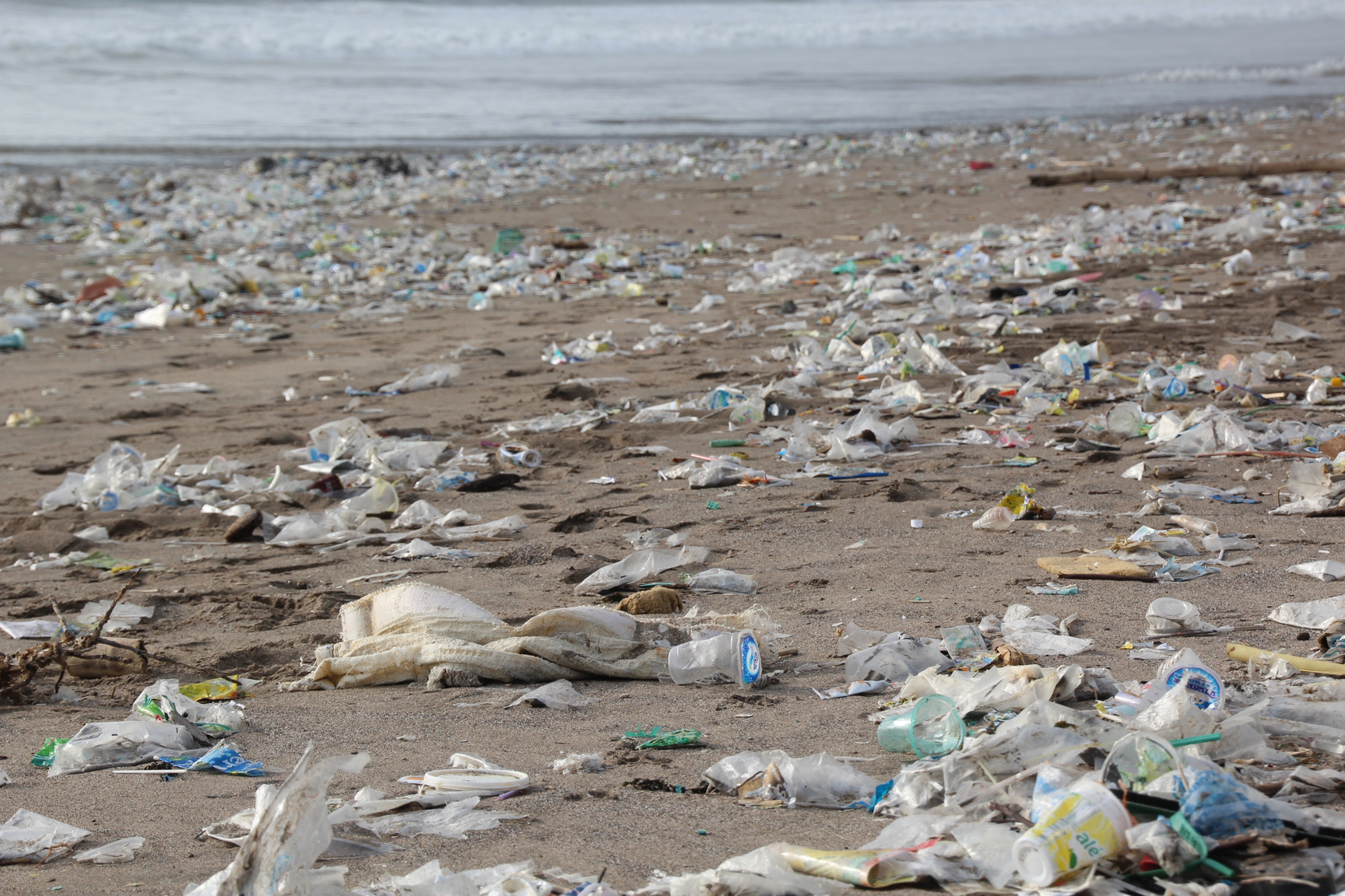 Beach Filled with Trash